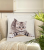 Игривый котенок Наволочка декоративная 45*45см 2500058 Игривый котенок Наволочка декоративная 45*45см 2500058